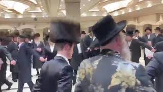 Viznitz London Rebbe Dancing