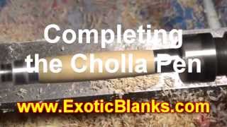 Cholla cactus fill and finish--mp4