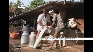 പാലക്കാട് ചിറ്റൂരിൽ ലിറ്റർ  കണക്കിന് പാൽ ഒഴുക്കി കളഞ്ഞ് ക്ഷീരകർഷകർ