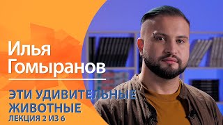 Эти удивительные животные. Илья Гомыранов. Лекция 2 из 6