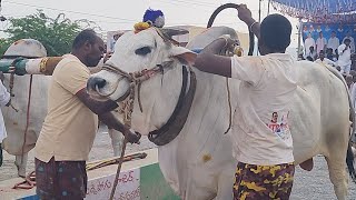 Karampudi సీనియర్స్ శీలం జగన్మోహన్ రెడ్డి గారు ఆనంవారిపల్లె గ్రామం*కాశినాయన మండలం**కడప జిల్లా*