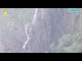 similipal tiger reserve video hd documentary film simlipal abhayaranya mayurbhanj odisha india