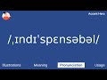 indispensable meaning and pronunciation