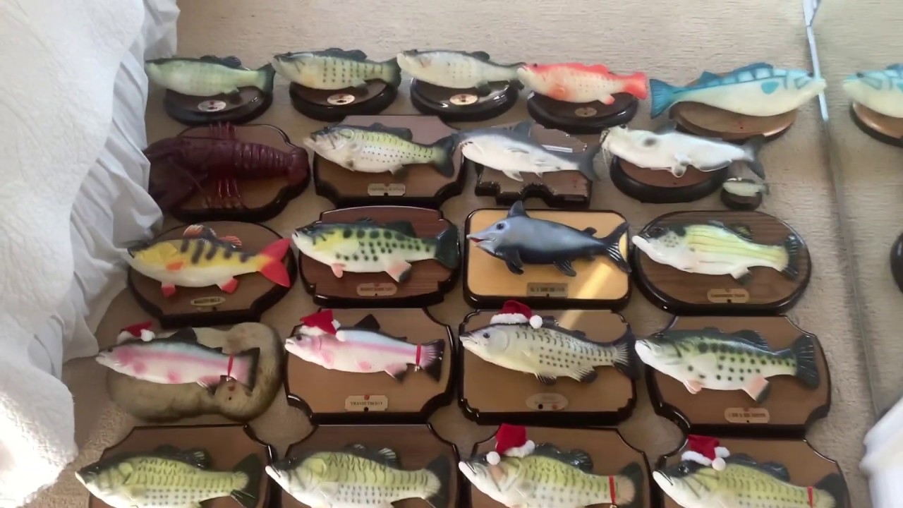 Singing Fish Collection January 1st 2020 Youtube