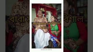 বাবাকে নিয়ে কিছু লিখতে গিয়ে এতো বড় সর্বনাস কি করে করতে পারলাম 😭 #short