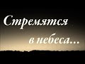 Стремятся в небеса МСЦ ЕХБ