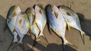 വിഴിഞ്ഞം 🐟🐟🐟 7/1/2025 10:15 AM