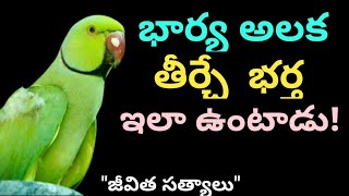 Jeevitha sathyalu#136 l Telugu Motivational \u0026 Inspirational Quotes l మంచి మాటలు l సూక్తులు