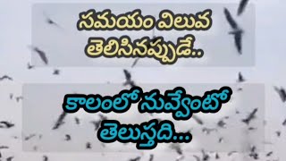 Matti manishi lokam mucchata?సమయం.. కాలం||samayam..kaalam# నువ్వు చేసే పనిని బట్టి నీ విలువ🕴🙏శుభోదయం