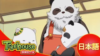 Pandalian: Size Me Up! - Ep.8 (日本語)