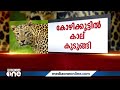 പുലിയെ പിടിച്ചാൽ മാറ്റാനുള്ള കൂട് സ്ഥലത്തെത്തിച്ചു മയക്കുവെടിവെക്കാൻ വയനാട്ടിൽനിന്ന് സംഘമെത്തും