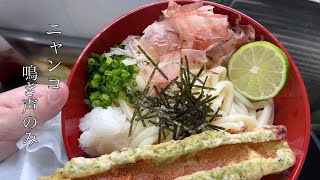 料理中 話しかけ続けてくるウチのニャンコ（My cat keeps talking to me while I'm cooking.）