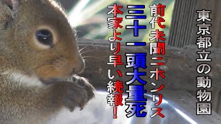 前代未聞／井の頭自然文化園のニホンリス大量死事件続報