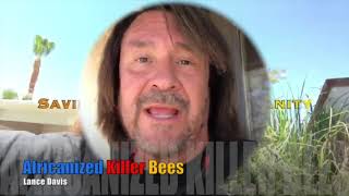 Africanized and European honey Bees