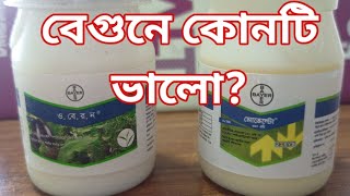 বেগুনের সাদা মাছির জন্য কোন কীটনাশক ব্যবহার করবেন।