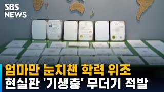 현실판 '기생충'…학력 위조해 부정 취업 무더기 적발 / SBS