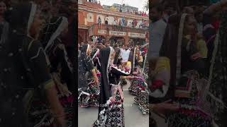 Kalbeliya Dance in Gangaur 2023 | Jaipur Festival 2023 #jaipur #jaipurcity #gangaur