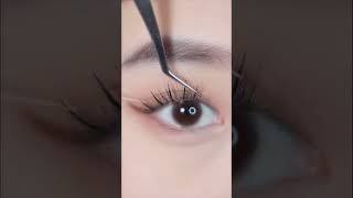 A/M spike eyelash extensions#eyelashextensions #makeup #nagaraku #newstyle