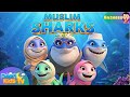 Muslim Shark Doo Doo | Baby Shark Islamic Version | Islamic Songs for Kids | Muslim Nasheed & rhymes