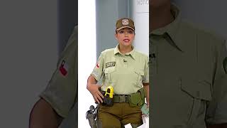 Nuevo uniforme de Carabineros de Chile: Con nueva arma "no letal", jockey y polera reflectante