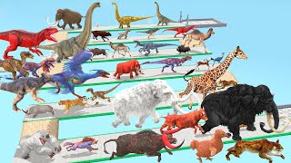 Which Animals vs Dinosaurs Speed Race Run Zigzag Down Course! from Outside Animal Revolt Battle Sim