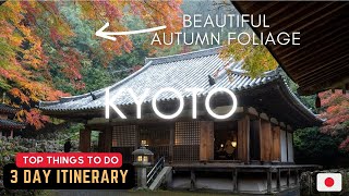 This is BEST PLACE TO ENJOY Autumn Foliage in, KYOTO JAPAN 🇯🇵