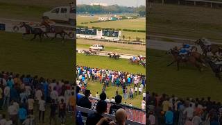 Kolkata race course (royal calcata turf club) 2024,Mar 03 #horseracing #racing #shorts