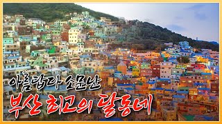 피난민들이 모여 살았던 부산의 달동네 중 가장 아름답다고 소문난 한국의 마추픽추, 감천문화마을! 파스텔톤 감성마을 탄생 스토리 [ 포토에세이 골목 ] 20091012