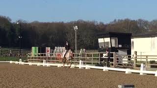 Parwood BD dressage, novice 37a