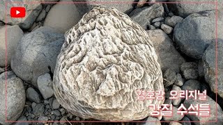 수석 탐석의 기쁨~경호강 최강 수석들~역시 매력적인 돌밭~