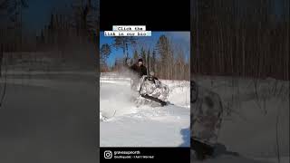 Snowdog Adventures❄️ #snowdog #winteradventure #upnorthMN #getoutside #snowmobile