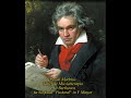 música para estudiar y concentrarse l.v. beethoven 6a sinfonía