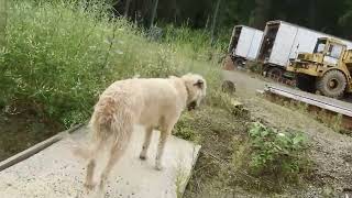 likely BC Pt. 4 Jim showing the Mine  \