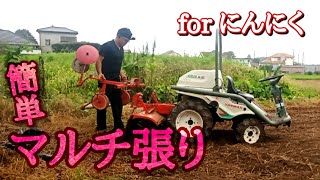 【YANMARアグリカ】雨ニモマケズニンニクマルチ張り。