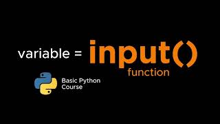 Python for Beginner: The Input() Function