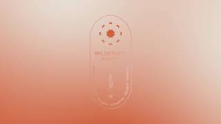 Wilderado - "Surefire" (Official Audio)