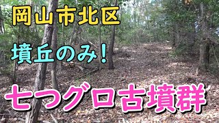 七つグロ古墳群（岡山市北区津島笹が瀬）