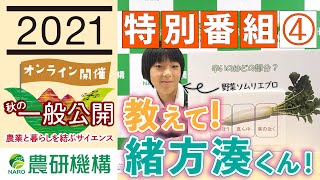 農研機構オンライン一般公開生配信の「緒方湊くんの野菜品種紹介」コーナー