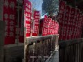 山梨県富士吉田市鎮座「北口本宮冨士浅間神社」参拝動画⛩️