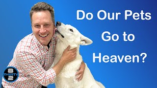 Will My Pet Be In Heaven?