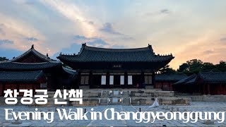 창경궁 야간개장 산책 | 홍화문에서 춘당지를 지나 대온실까지 | 서울고궁투어 | Evening Walk in Changgyeonggung Palace Seoul Korea