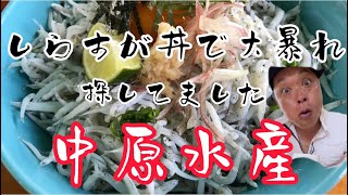 【淡路島】で洲本温泉の行く道中に構えるしらす専門店。店内でお見上げ、シラス丼を提供。立ち寄ってはどうですか‼️