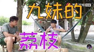 【農人DJ楓楓】九妹的荔枝到了，大伯霸气翻墙到枫枫家