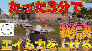 【荒野行動】たった3分で神エイムになれる方法、教えます！エイム力向上！