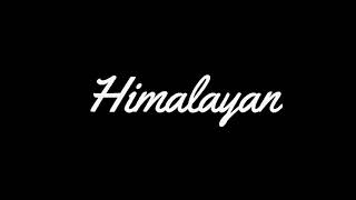 සුදු අයත් ලස්සනයි - Himalayan