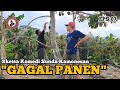 GAGAL PANEN || Sketsa Komedi Sunda Kamonesan Eps.07