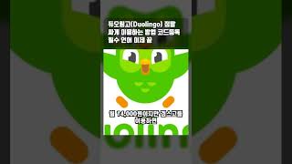 듀오링고(Duolingo) 정말 싸게 이용하는 방법 코드등록 필수 언어 이제 끝