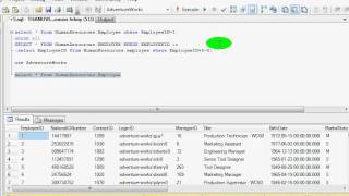 execute a query using union all operator?