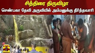 சித்திரை திருவிழா : செண்பகா தேவி அருவியில் அம்மனுக்கு தீர்த்தவாரி | Tenkasi | Courtallam