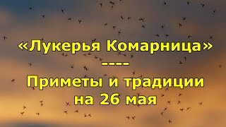 Народный праздник «Лукерья Комарница». Приметы и традиции на 26 мая.